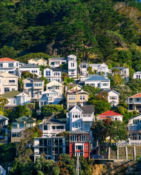 property and landtax services banner moore markhams