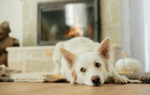 Update - GST on farmhouses and holiday homes