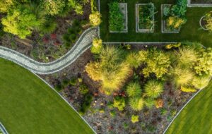 Three Tree Landscaping | Kick starting in Covid