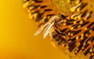 Humble Bees | Giving plastics the sting