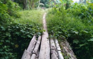 Is the grass greener over the ditch?