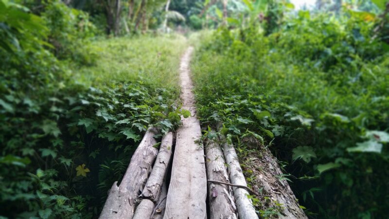 Is the grass greener over the ditch?