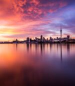 Moore Markhams in Auckland