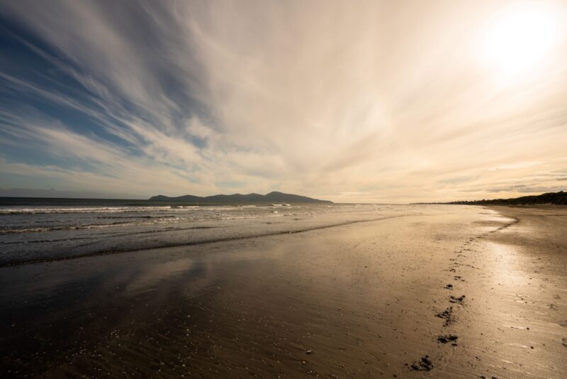 Moore Markhams Wellington