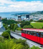 Moore Markhams Wellington