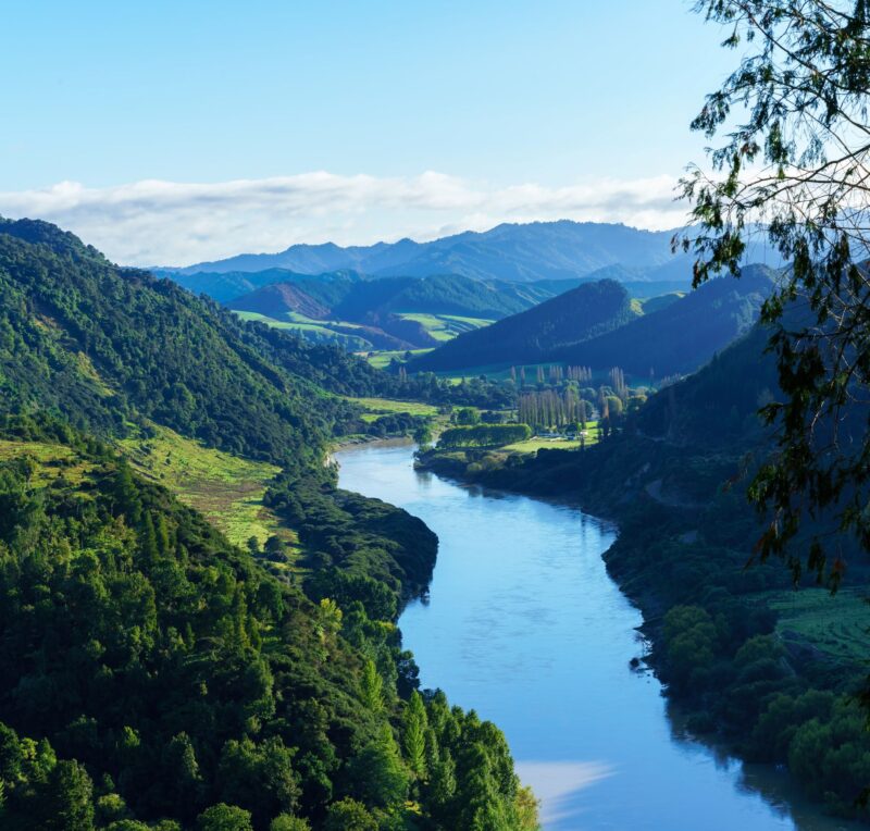 Moore Markhams Whanganui