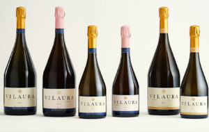 Client Spotlight: Crafting a Legacy of Excellence with VILAURA