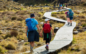 Employment Leave Act 2026 changes for New Zealand employers reviewing payroll and leave compliance requirements