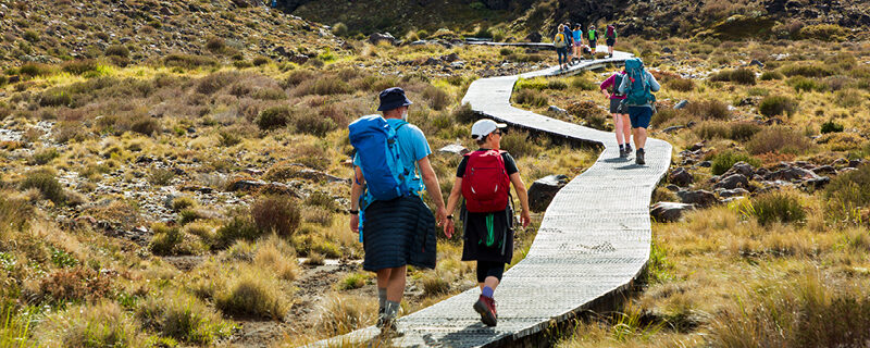 Employment Leave Act 2026 changes for New Zealand employers reviewing payroll and leave compliance requirements