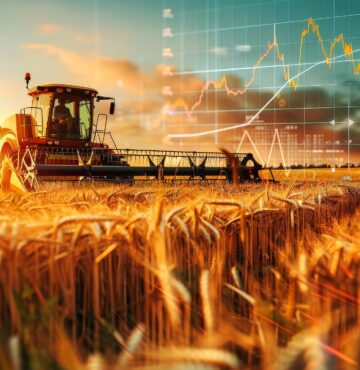 Cashflow and forecasting for businesses in new zealand