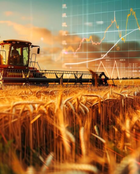 Cashflow and forecasting for businesses in new zealand