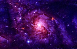 New Associate combines two roles