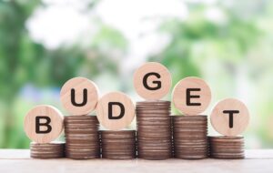 Budget 2024 - Our View