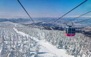 Discover Moore: Secondment adventure to Moore Japan