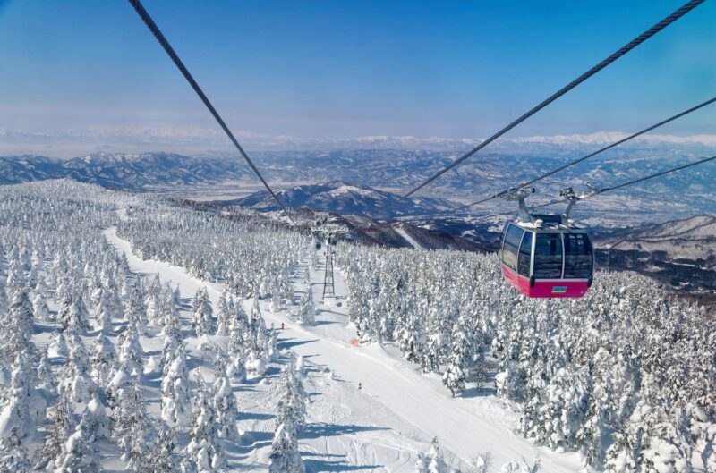 Discover Moore: Secondment adventure to Moore Japan