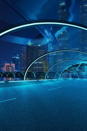 Balancing the Benefits and Risks of the Government’s Fast-Track Policy