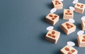 Employee Share Schemes